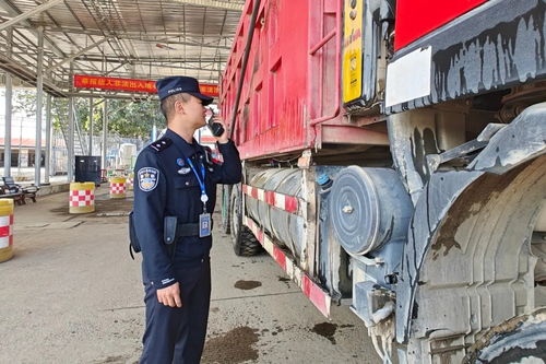 瑞麗口岸2025年進(jìn)出口貨物通關(guān)量突破136萬(wàn)噸 展現(xiàn)邊境貿(mào)易新活力