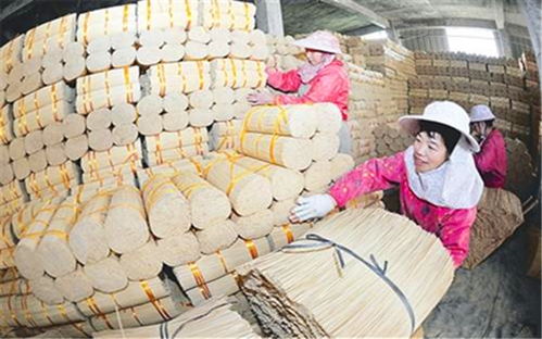 投資10萬元以內(nèi)的加工項(xiàng)目,現(xiàn)在有哪些具備發(fā)展前景 推薦一下