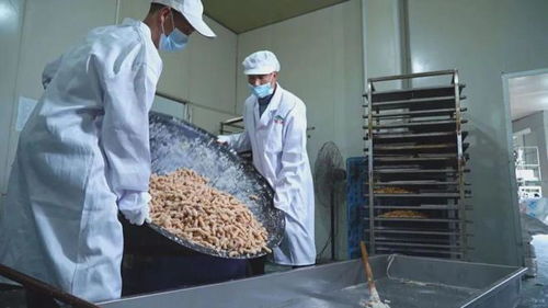 新春走基層 特色年貨生產加工忙
