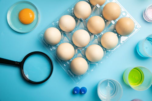 新鮮無菌蛋食品安全農業科技食品培育攝影圖 插畫 下載至來源處