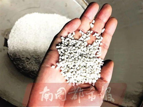 有玉米香味的塑料袋 探秘全生物降解塑料制品工廠,最快3個月完全降解